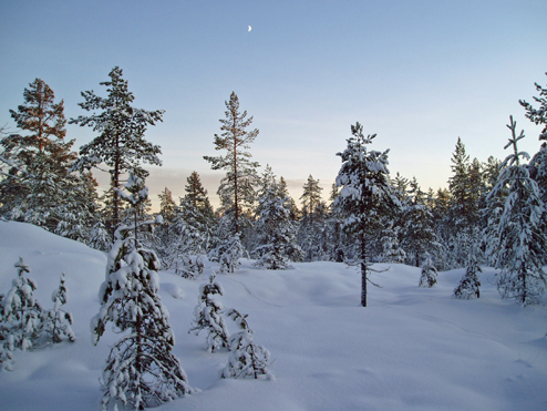 Södra Granberget